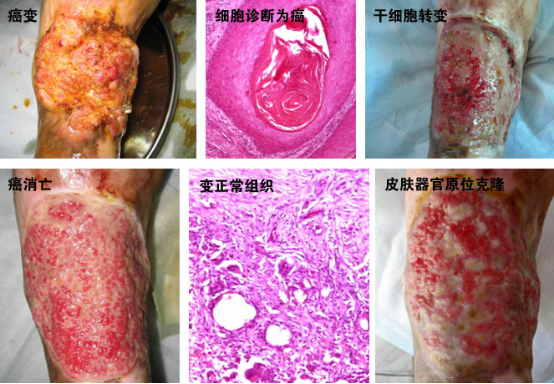 Stake官方·(中国区)网站入口