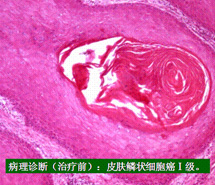 Stake官方·(中国区)网站入口