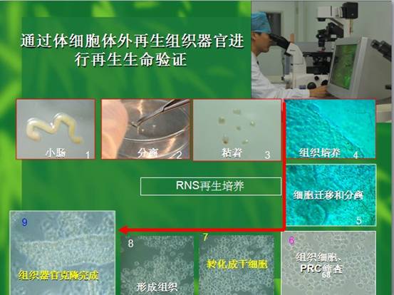 Stake官方·(中国区)网站入口