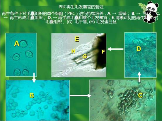 Stake官方·(中国区)网站入口