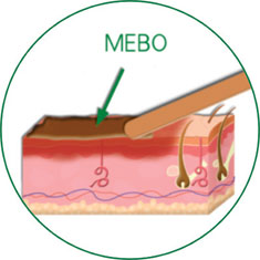Stake官方·(中国区)网站入口
