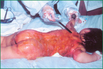 Stake官方·(中国区)网站入口