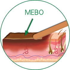 Stake官方·(中国区)网站入口
