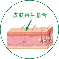 Stake官方·(中国区)网站入口