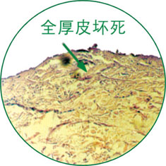 Stake官方·(中国区)网站入口