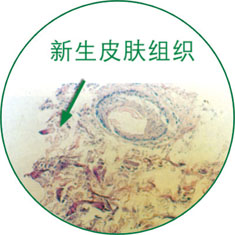 Stake官方·(中国区)网站入口