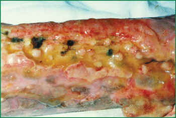 Stake官方·(中国区)网站入口