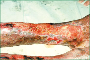 Stake官方·(中国区)网站入口