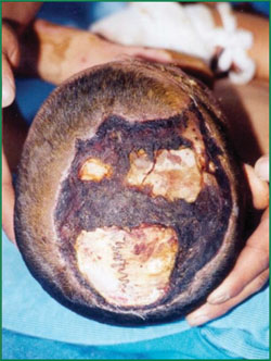 Stake官方·(中国区)网站入口