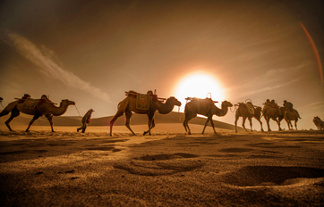 stake官网入口国际 “一带一起”建议培训平台