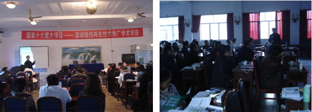 Stake官方·(中国区)网站入口