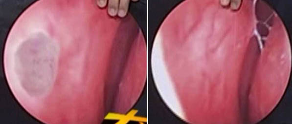 Stake官方·(中国区)网站入口