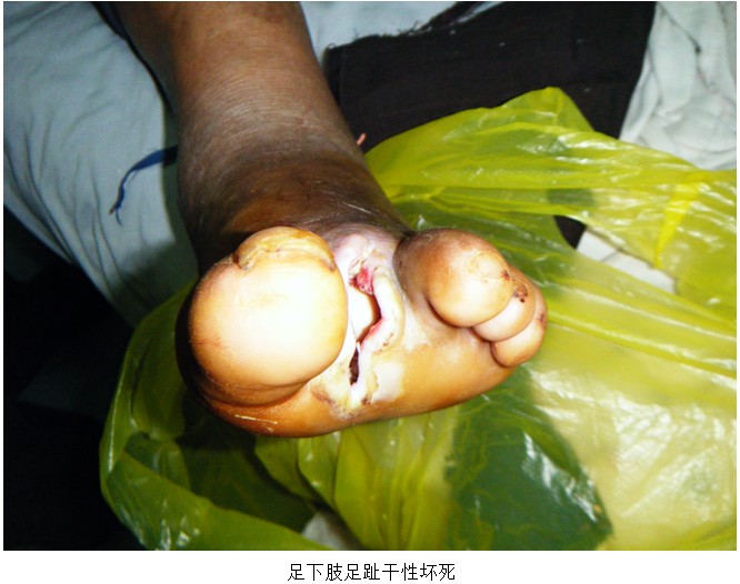 Stake官方·(中国区)网站入口