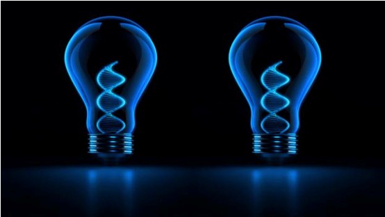 Stake官方·(中国区)网站入口