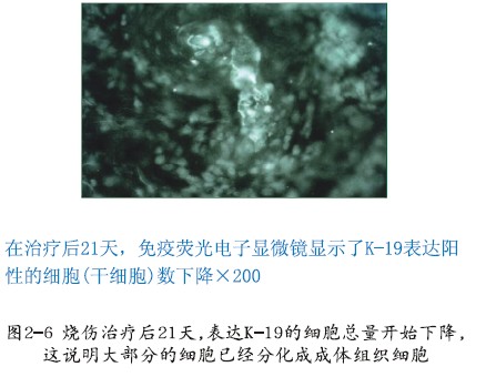 Stake官方·(中国区)网站入口