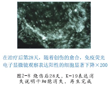 Stake官方·(中国区)网站入口