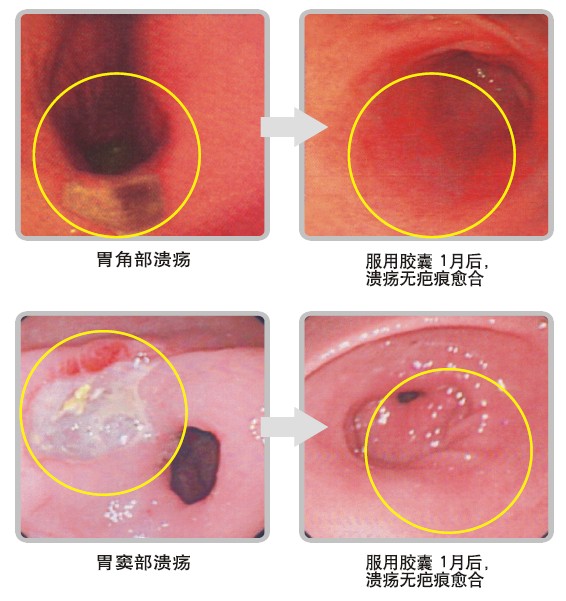 Stake官方·(中国区)网站入口