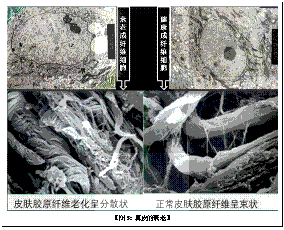 Stake官方·(中国区)网站入口