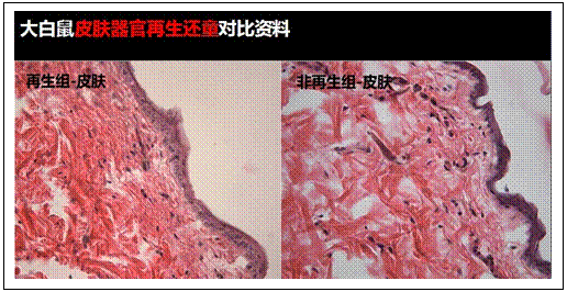 Stake官方·(中国区)网站入口