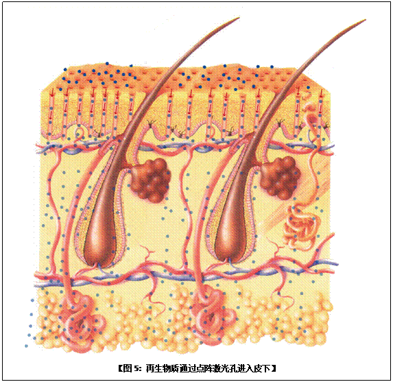 Stake官方·(中国区)网站入口