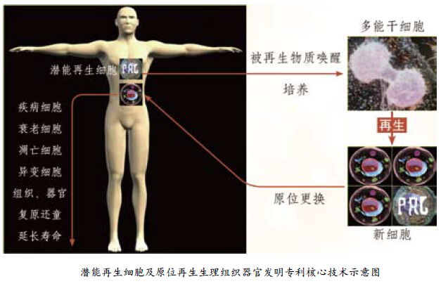 Stake官方·(中国区)网站入口