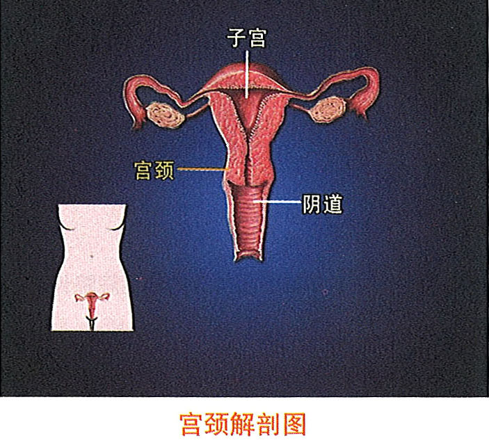 Stake官方·(中国区)网站入口